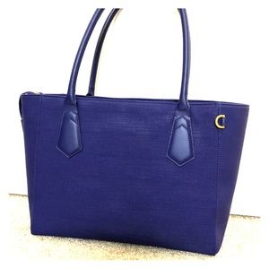 EUC Dagne Dover 13-inch tote in Dagne Blue